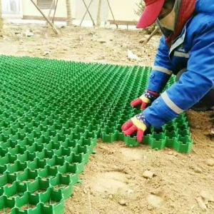 Grass trellis construction