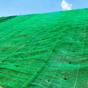 3D Vegetation Net Slope Protection Project