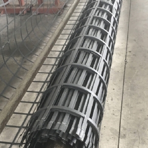 Steel plastic geogrid