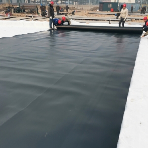 HDPE geomembrane