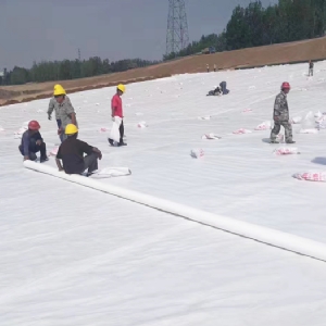 geotextile